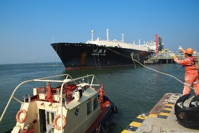 海油进口  LNG